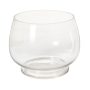 Discovery Terrarium – 12″